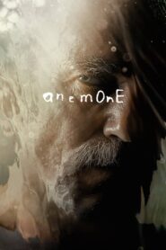 Anemone (2025)
