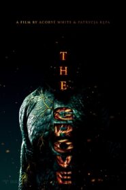 The Grove (2025)