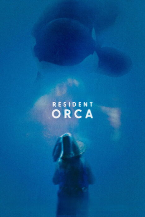 Resident Orca (2024)