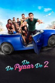 De De Pyaar De 2 (2025)